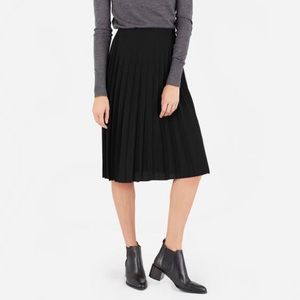 NWOT Everlane Pleated Skirt